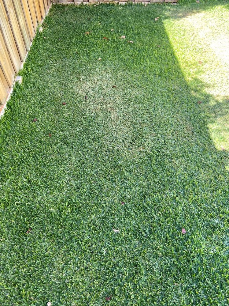 IMG_9828.JPG IMG_9828.JPG