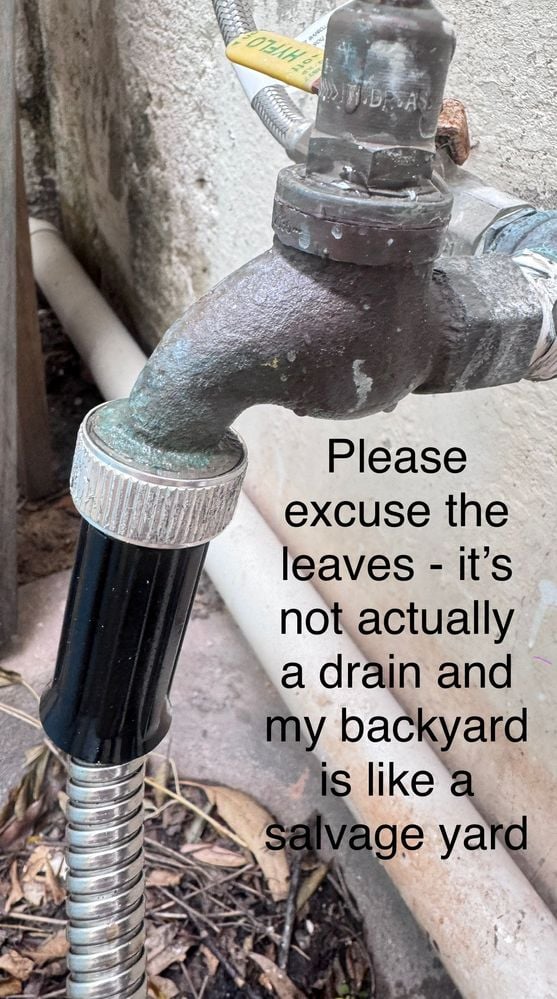 IMG_6902.jpg IMG_6902.jpg