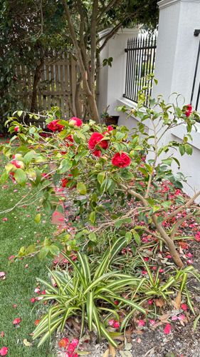 IMG_0919.jpeg IMG_0919.jpeg