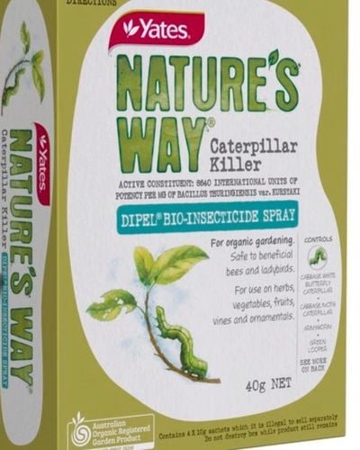 BC804390-8E21-41E8-BB61-251EFD4CB644.jpeg BC804390-8E21-41E8-BB61-251EFD4CB644.jpeg