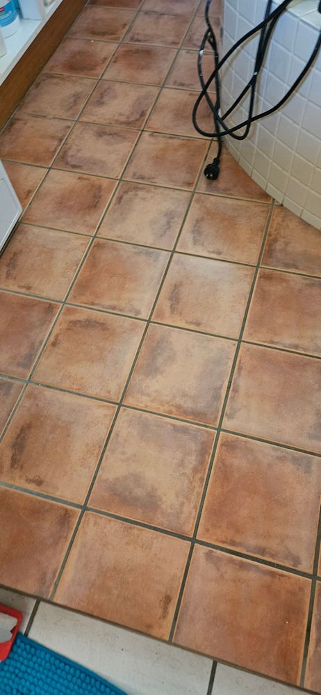 20241117_112144.jpg 20241117_112144.jpg