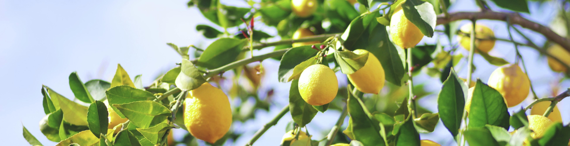 Hero Image Test Blog - 2023-04-04T050946.754.png Hero Image Test Blog - 2023-04-04T050946.754.png