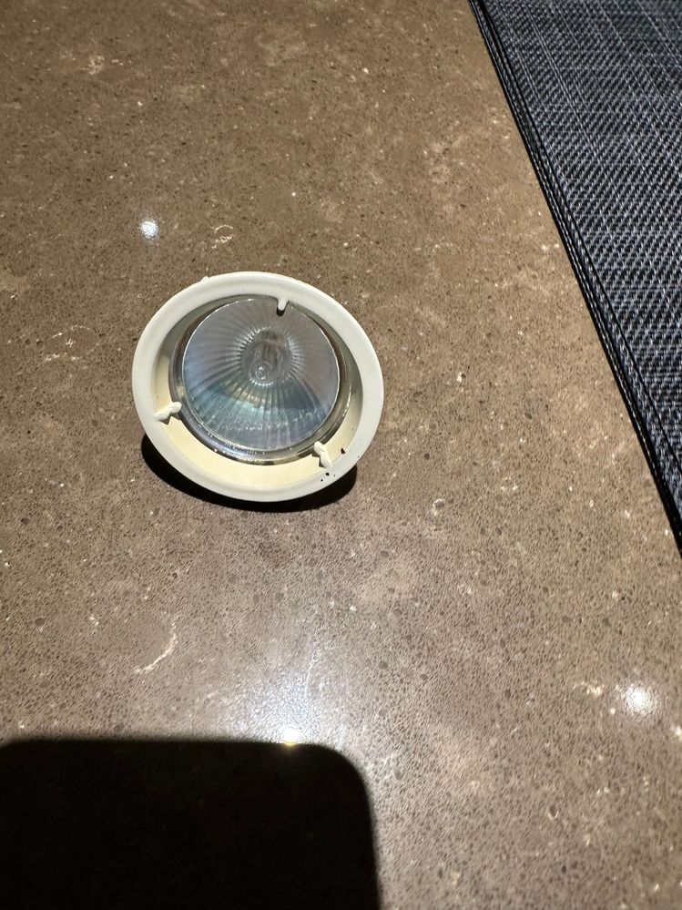 IMG_4928.jpeg IMG_4928.jpeg