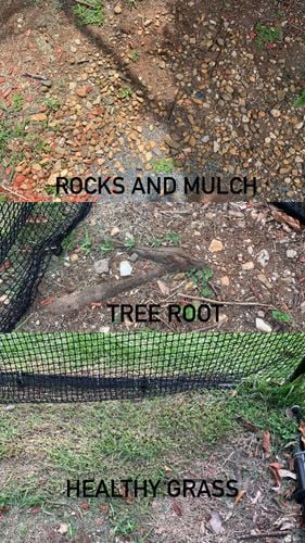 C2E11703-7D5F-4A69-85B5-46E9CA307962.jpeg C2E11703-7D5F-4A69-85B5-46E9CA307962.jpeg