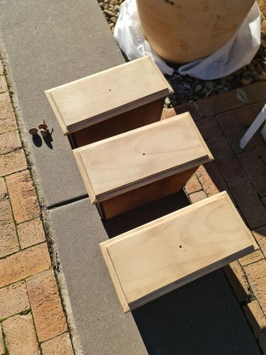 20240610_100447.jpg 20240610_100447.jpg