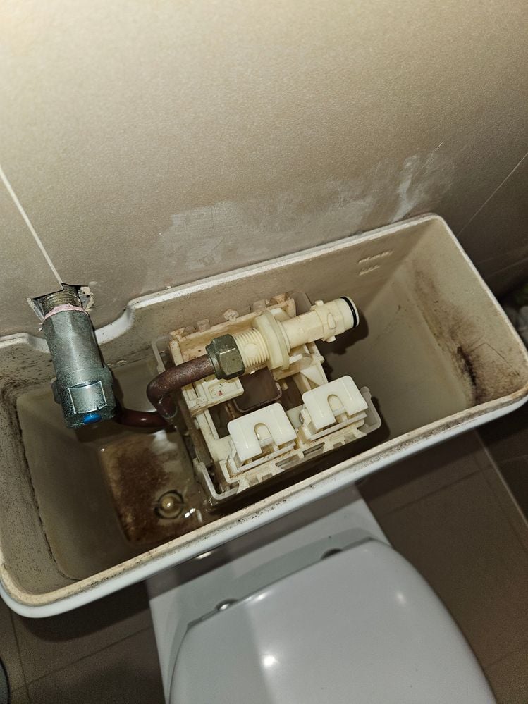 20250821_092944.jpg 20250821_092944.jpg