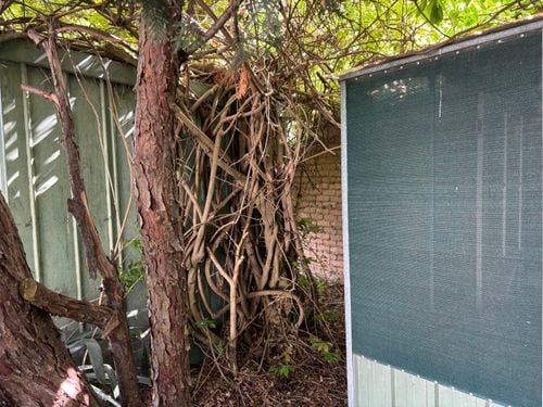 IMG_0534.jpeg IMG_0534.jpeg