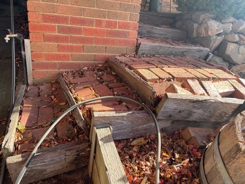 IMG_9558.jpeg IMG_9558.jpeg