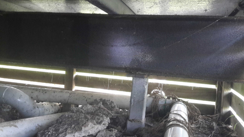 Cranswick_0-1699524665411.png Cranswick_0-1699524665411.png