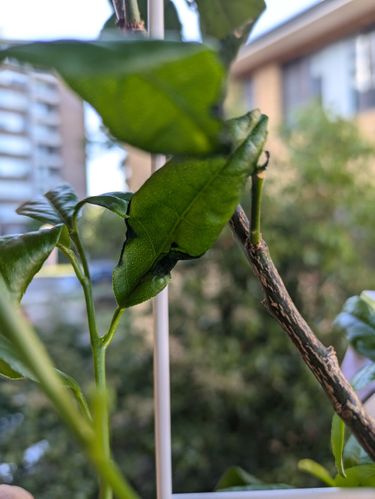 1000012998.jpg 1000012998.jpg