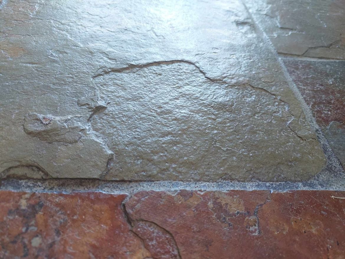 486741221_1894991788020497_383003274172726188_n.jpg 486741221_1894991788020497_383003274172726188_n.jpg