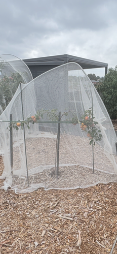 IMG_2513.png IMG_2513.png