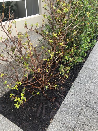 13E4333A-090F-43BE-A57B-D4A06BD73AFC.jpeg 13E4333A-090F-43BE-A57B-D4A06BD73AFC.jpeg