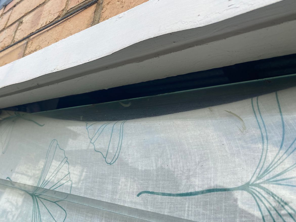 IMG_3684.jpg IMG_3684.jpg