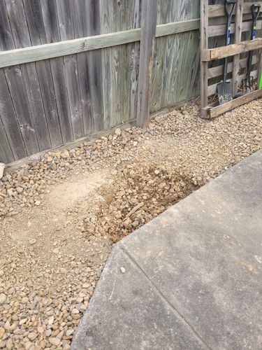 20250731_150515.jpg 20250731_150515.jpg