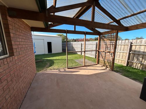 IMG_2736.jpeg IMG_2736.jpeg