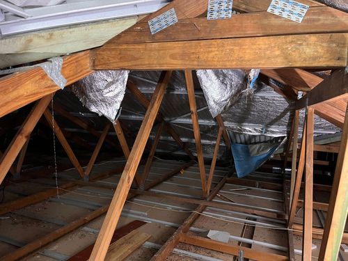 IMG_0304.jpeg IMG_0304.jpeg