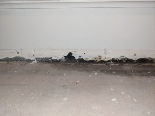 PXL_20210405_075434387.jpg PXL_20210405_075434387.jpg