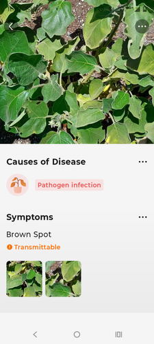 1000072387.png 1000072387.png