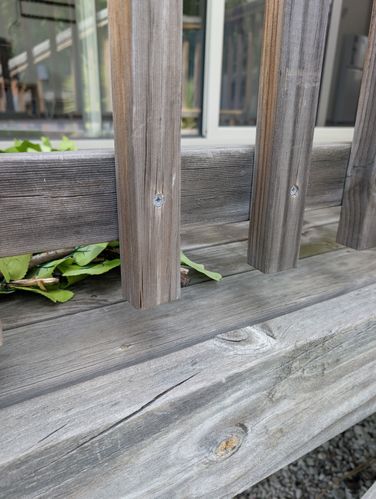 1000004774.jpg 1000004774.jpg