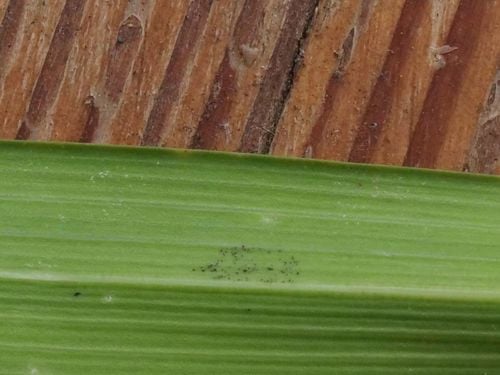 P1010190.jpg P1010190.jpg