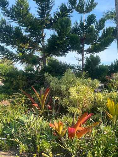 IMG_9376.jpeg IMG_9376.jpeg