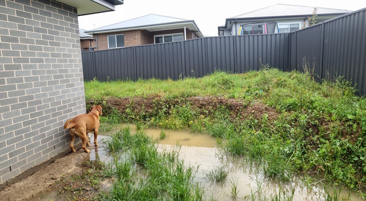 20220307_172830.jpg 20220307_172830.jpg