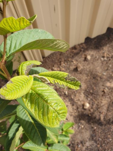 20230425_123135.jpg 20230425_123135.jpg