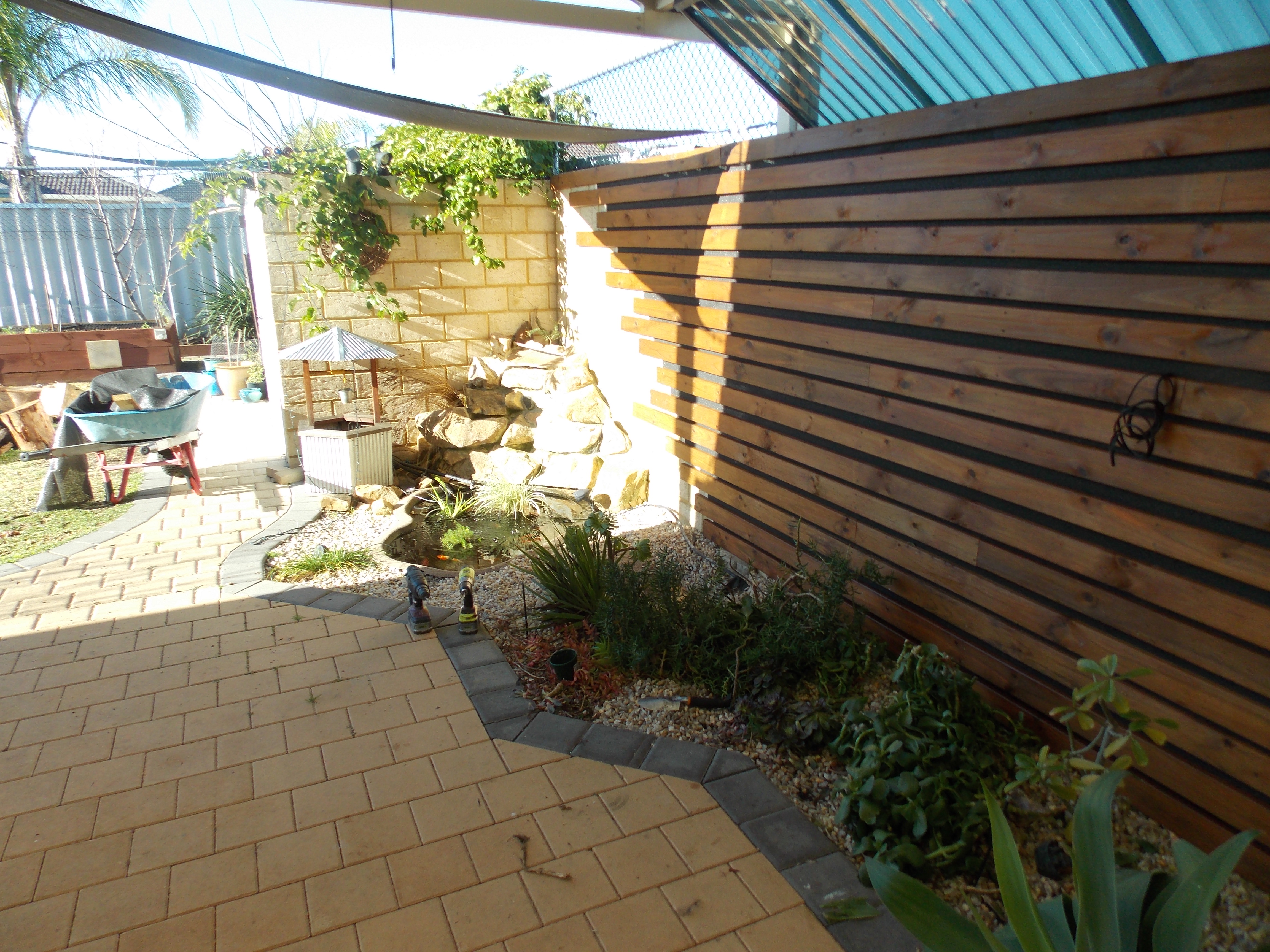 DSCN0554.jpg DSCN0554.jpg