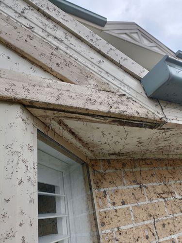 IMG20220827102403.jpg IMG20220827102403.jpg