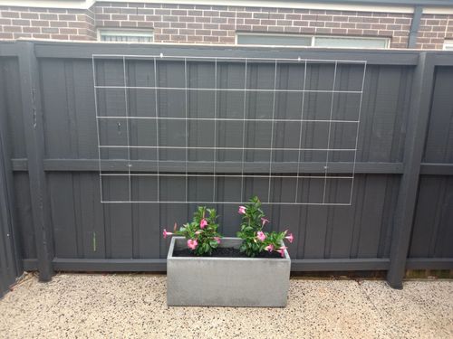 IMG_20230226_180710.jpg IMG_20230226_180710.jpg