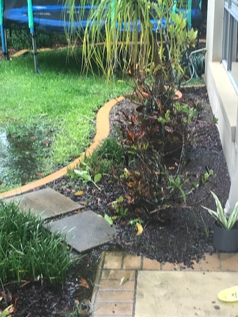 IMG_7133.jpg IMG_7133.jpg