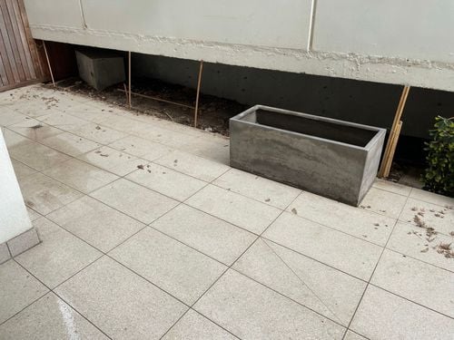 D8C2E4C9-A164-45A0-95AE-339FFDB39184.jpeg D8C2E4C9-A164-45A0-95AE-339FFDB39184.jpeg