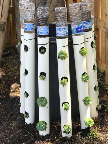 FE7AB3BA-BE74-4DF2-987F-52839F20AF60.jpeg FE7AB3BA-BE74-4DF2-987F-52839F20AF60.jpeg