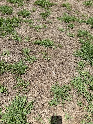 IMG_3842.jpeg IMG_3842.jpeg