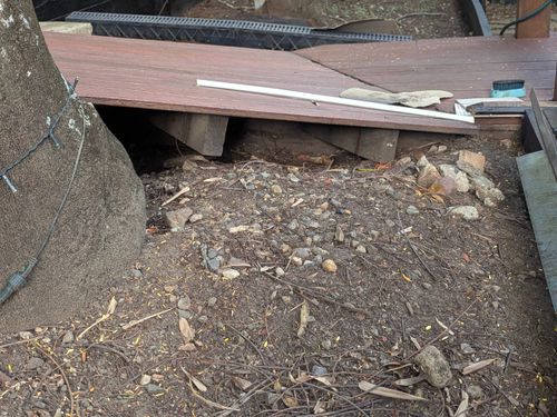 1000013426.jpg 1000013426.jpg