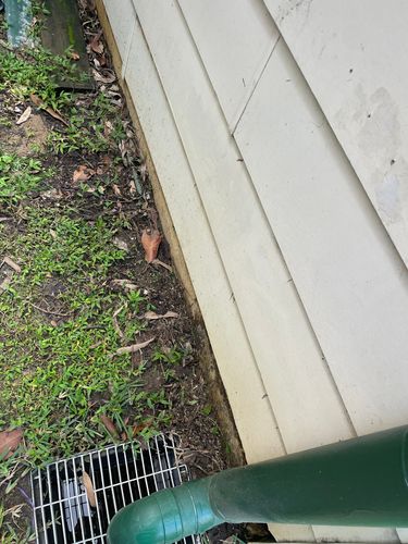 A156031F-6639-4BE5-BA61-94F29A97F644.jpeg A156031F-6639-4BE5-BA61-94F29A97F644.jpeg