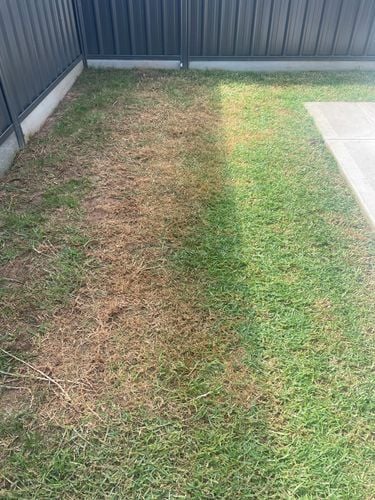 IMG_8786.jpeg IMG_8786.jpeg