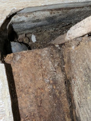 1000002319.jpg 1000002319.jpg