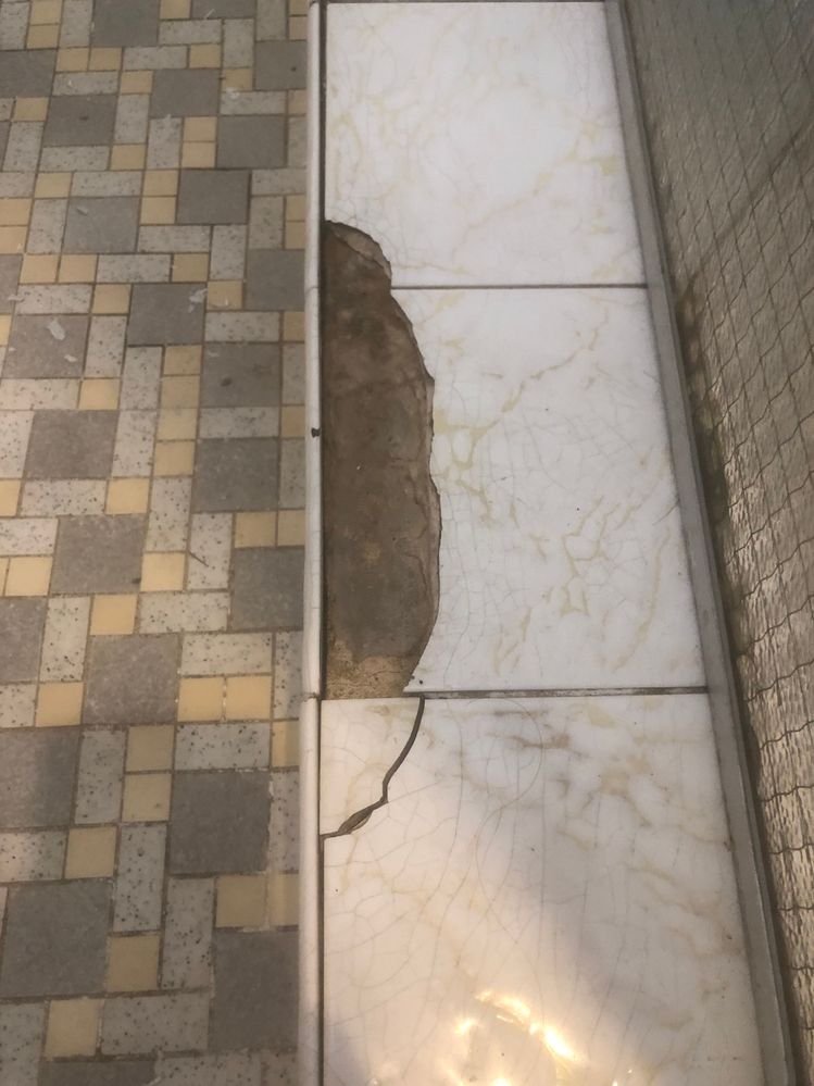 IMG_1147.jpg IMG_1147.jpg