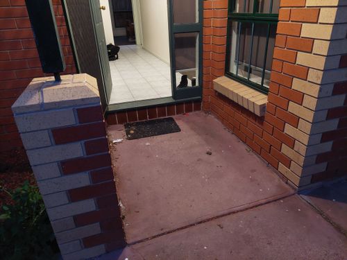 20220809_175455.jpg 20220809_175455.jpg