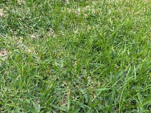 IMG_4848.jpeg IMG_4848.jpeg