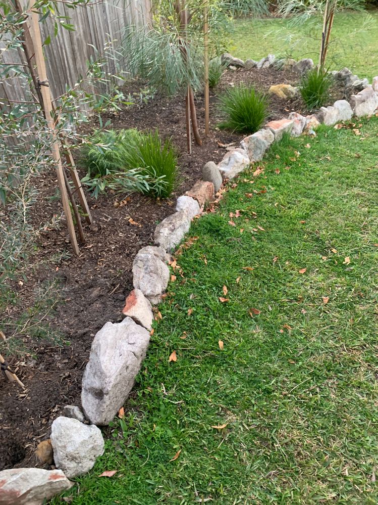 IMG_4746.JPG IMG_4746.JPG