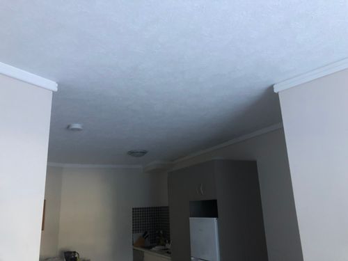 4F2AE6A4-2C15-404E-BA96-3E6C2EA454BF.jpeg 4F2AE6A4-2C15-404E-BA96-3E6C2EA454BF.jpeg