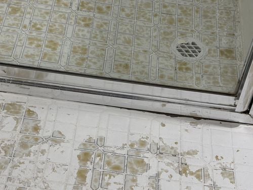 IMG_8067.jpeg IMG_8067.jpeg