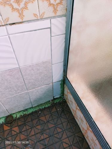 IMG20211130143951.jpg IMG20211130143951.jpg