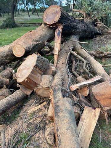 AB99AF51-4881-4128-84E6-FAC428AE14DE.jpeg AB99AF51-4881-4128-84E6-FAC428AE14DE.jpeg