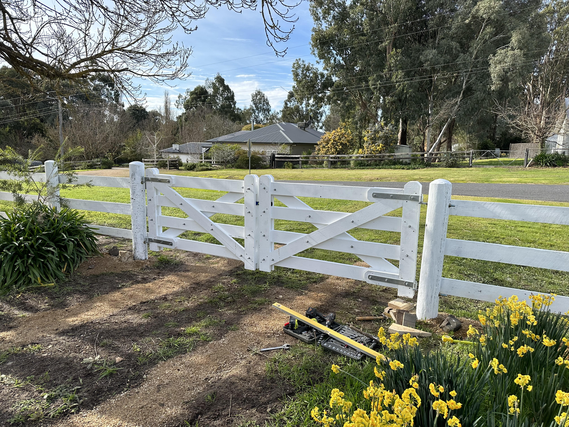 image 12.png image 12.png