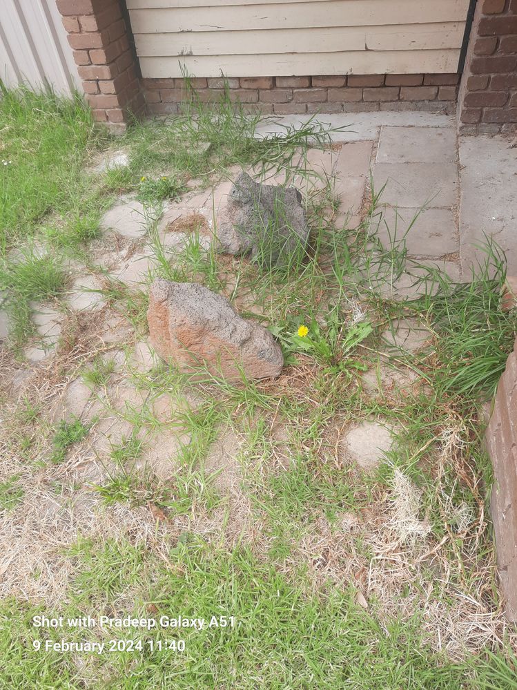 20240209_114025.jpg 20240209_114025.jpg