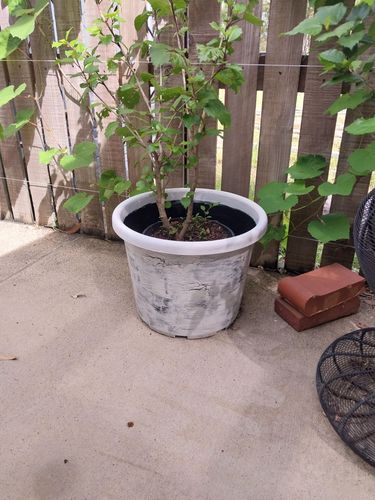 20230217_092904.jpg 20230217_092904.jpg